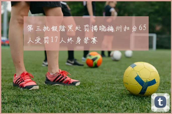 第三批假赌黑处罚揭晓梅州扣分65人受罚17人终身禁赛